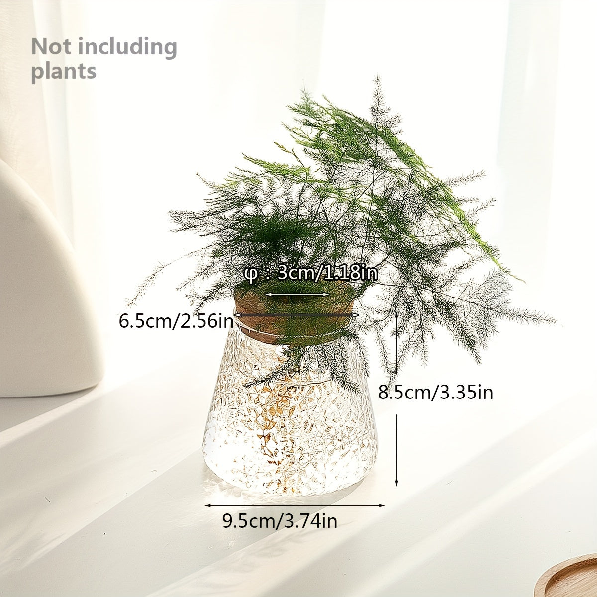 Glass Planter Propagation Station Vase Rack