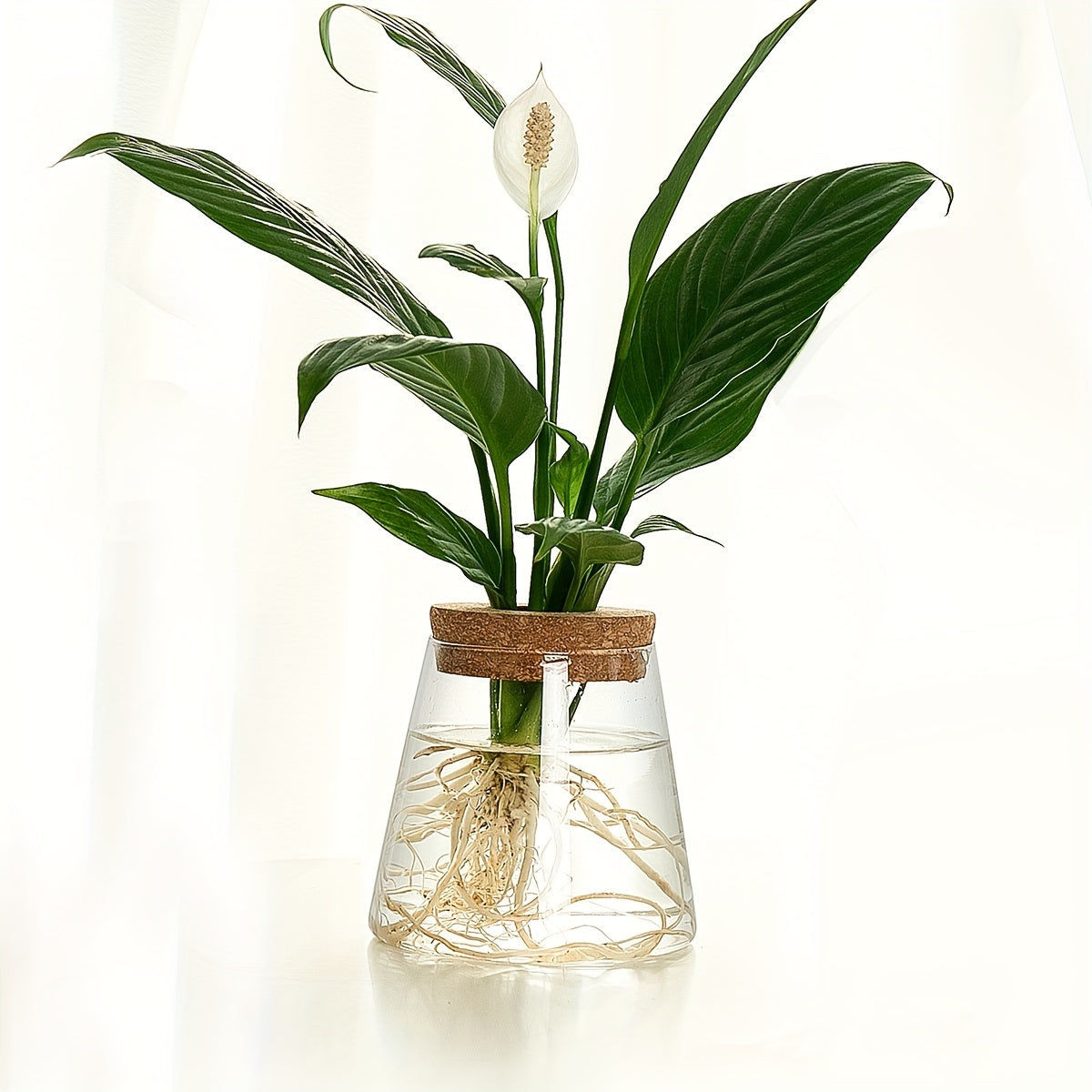 Glass Planter Propagation Station Vase Rack