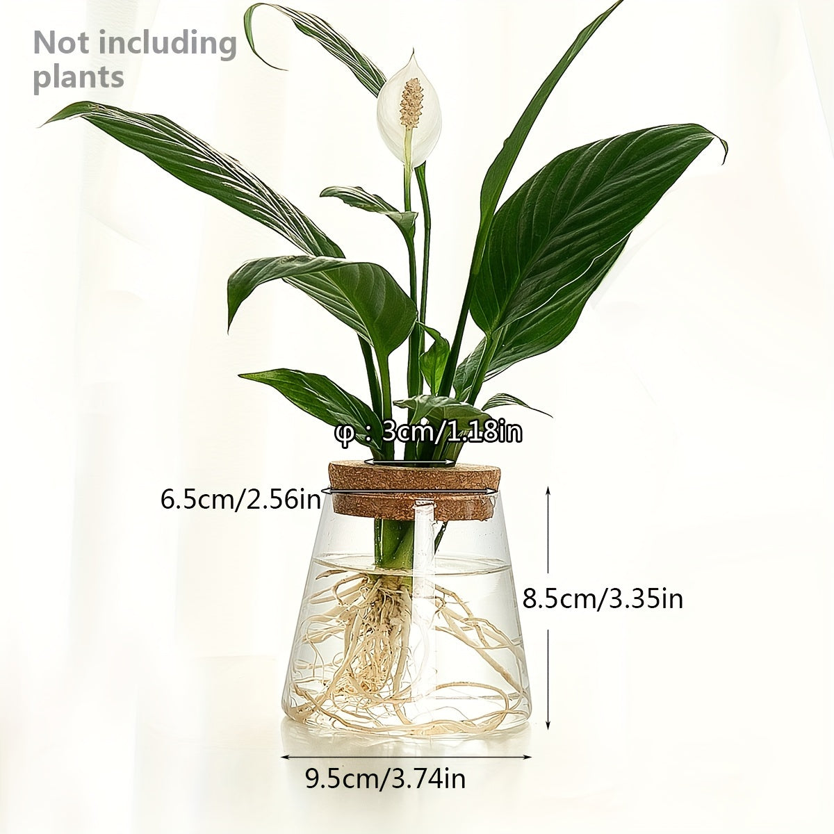Glass Planter Propagation Station Vase Rack